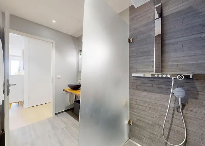 Superb Lakeview Flat - In The Heart Of Lavaux Puidoux